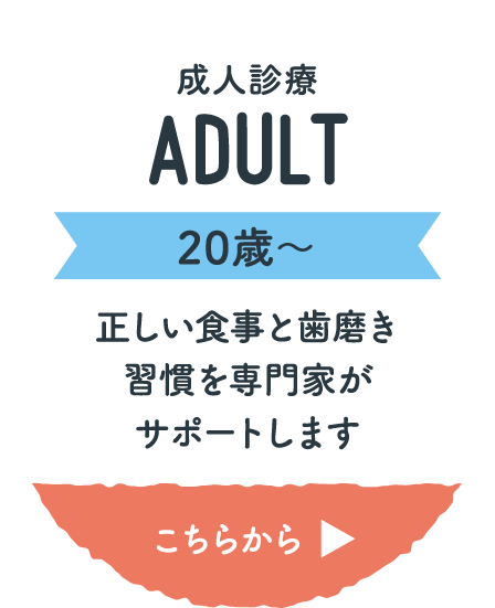 成人診療(20歳〜)正しい食事と歯磨き習慣を専門家がサポートします